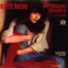 Wuthering Heights di Kate Bush